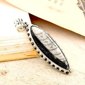 Black Orthoceras pendant in silver tone 18ctw